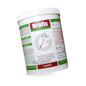 Buying_Brafix_online